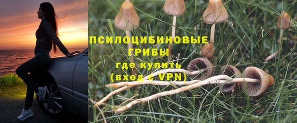 гидра Протвино