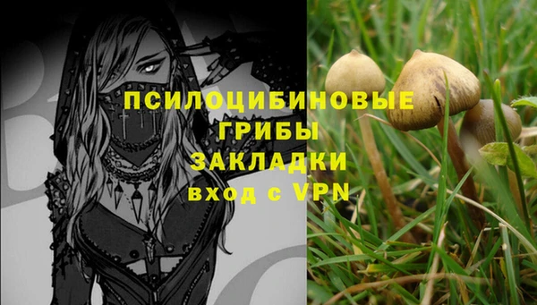 a pvp Алексеевка