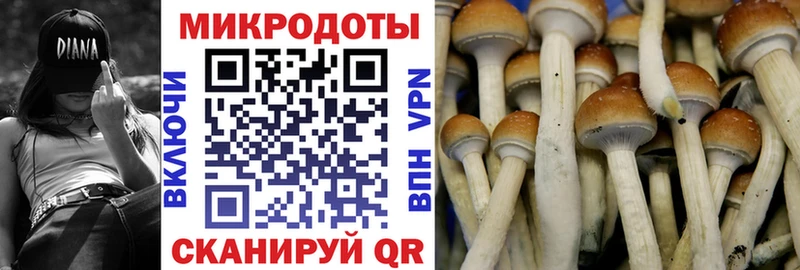 Галлюциногенные грибы GOLDEN TEACHER  blacksprut ссылки  Курчалой 