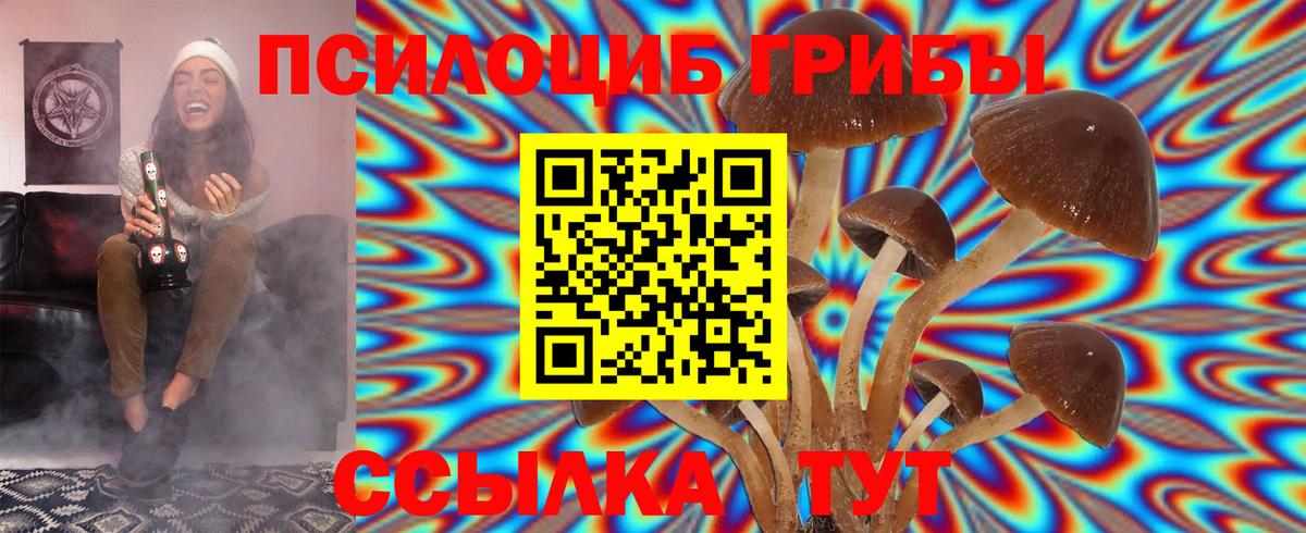 Галлюциногенные грибы MAGIC MUSHROOMS  Вход с VPN  Курчалой 